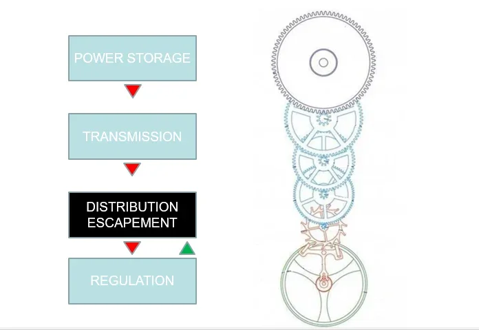 The Architecture of a Mechanical Watch
