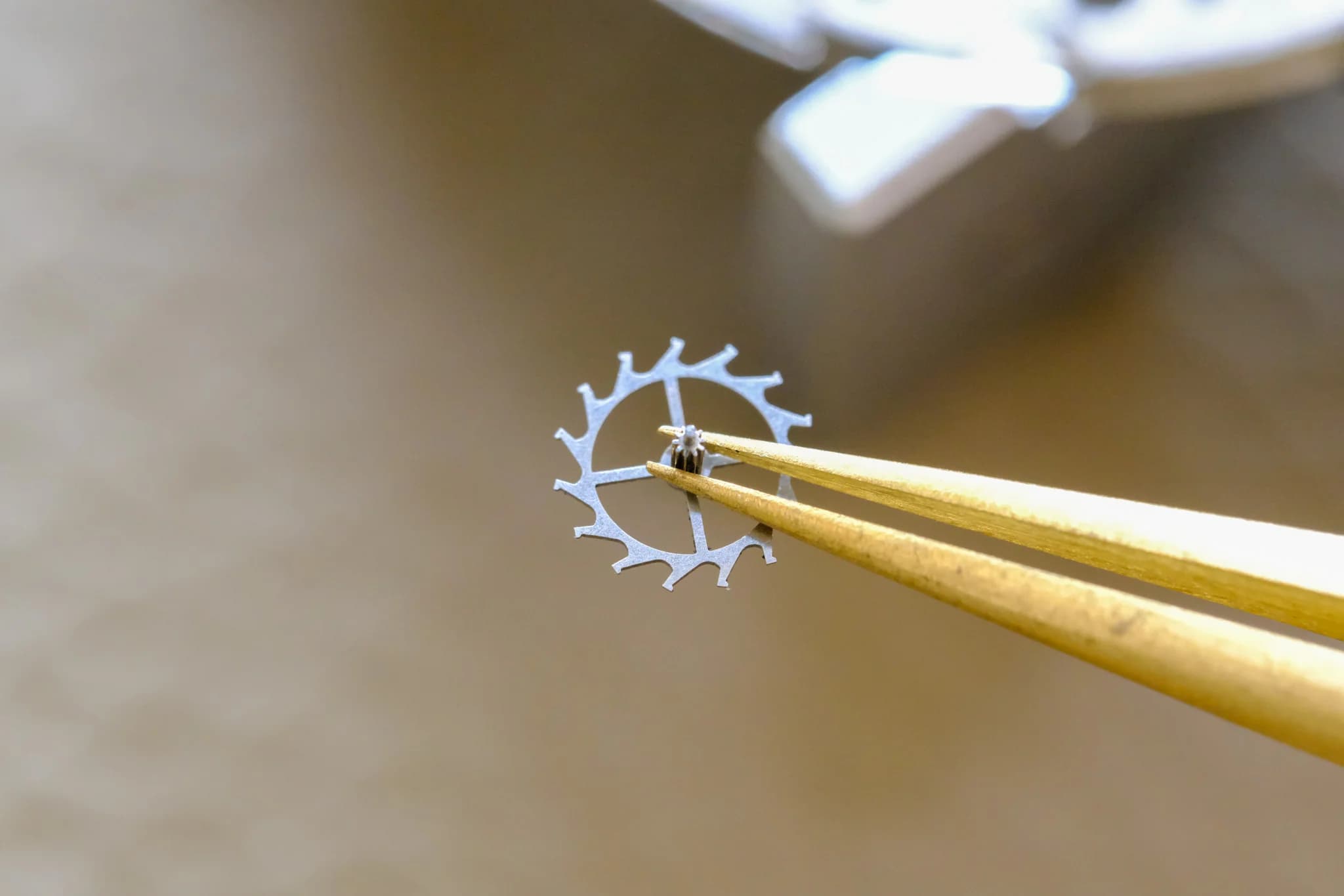 A Systems Thinker's Guide to Watchmaking